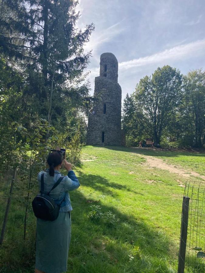Hostinec U Pejska A Kocicky Mariánské Lázně Dış mekan fotoğraf